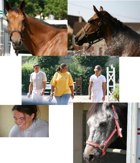 Concours Charolles