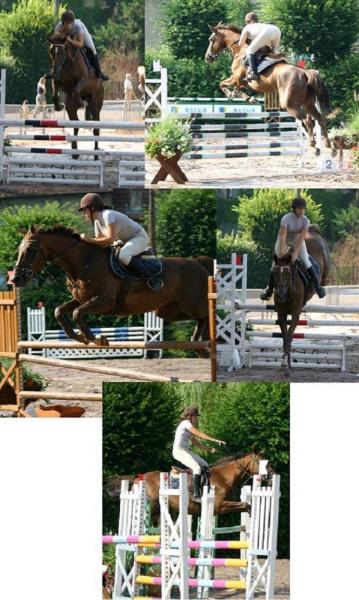 Concours Charolles