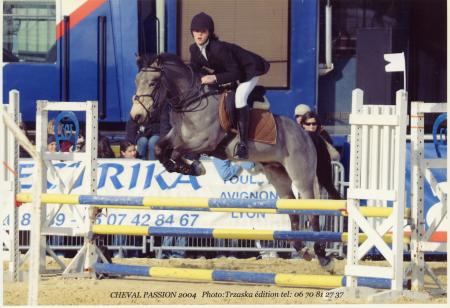 avignon 2004
