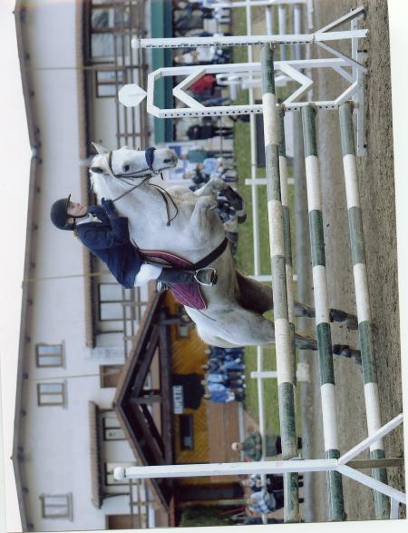 saison 2004