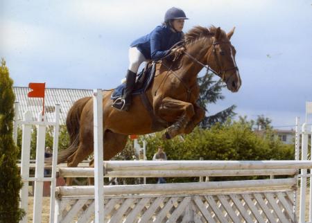 SAISON 2005