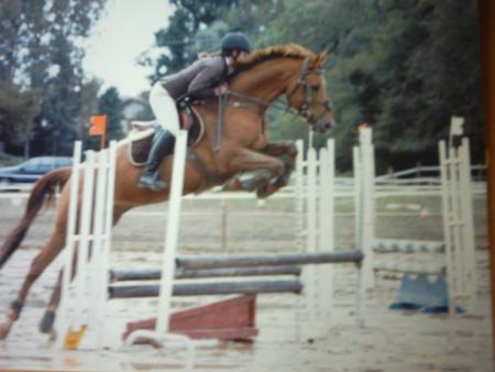 saison 2004