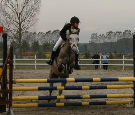 Carole et Majestic
