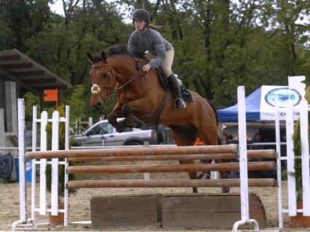 saison 2005