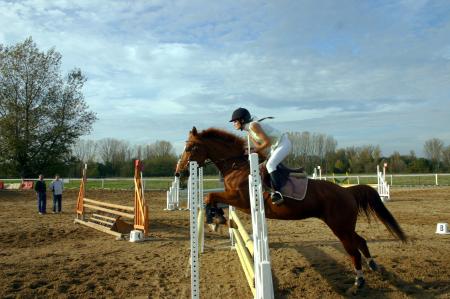 saison 2006