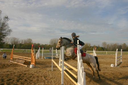saison 2006