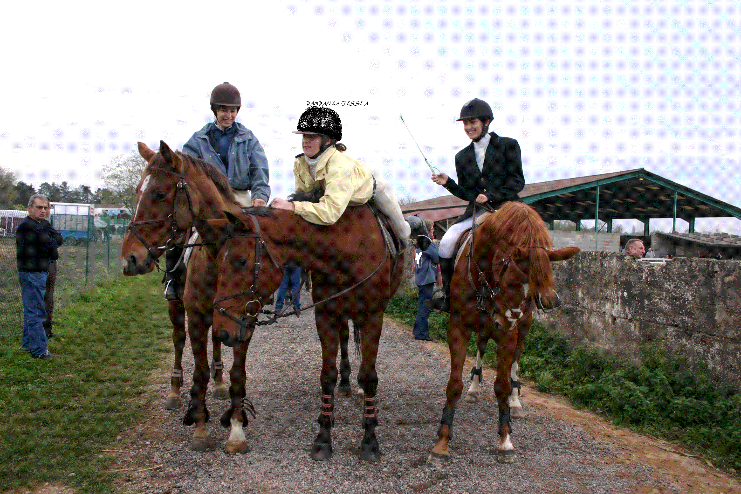 saison 2006