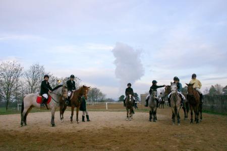 saison 2006
