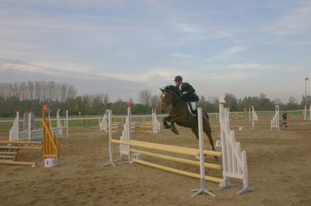 saison 2006