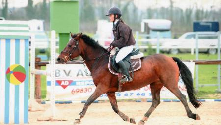 saison 2007